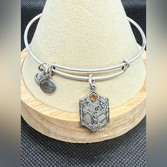 🩶ALEX AND ANI🩶Tree of Life Charm Bangle in Rafaelian Silver/EUC - Picture 2 of 9